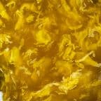 Best Egg Drop Soup in Neptune, NJ